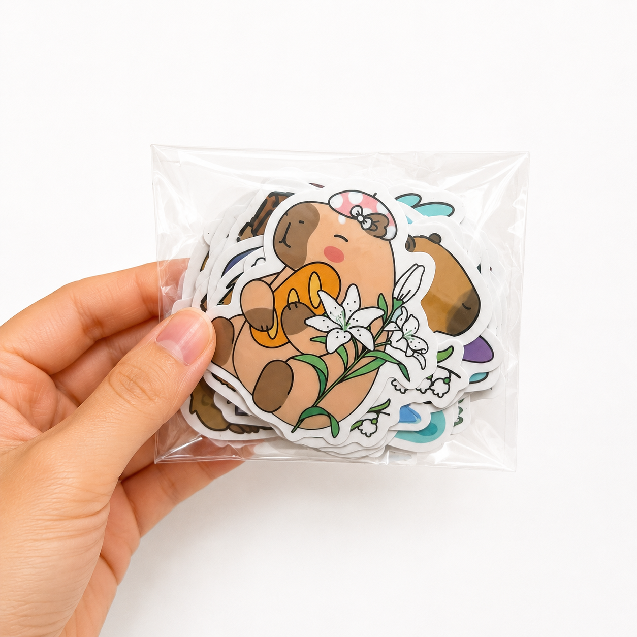 Cute Capybara Stickers
