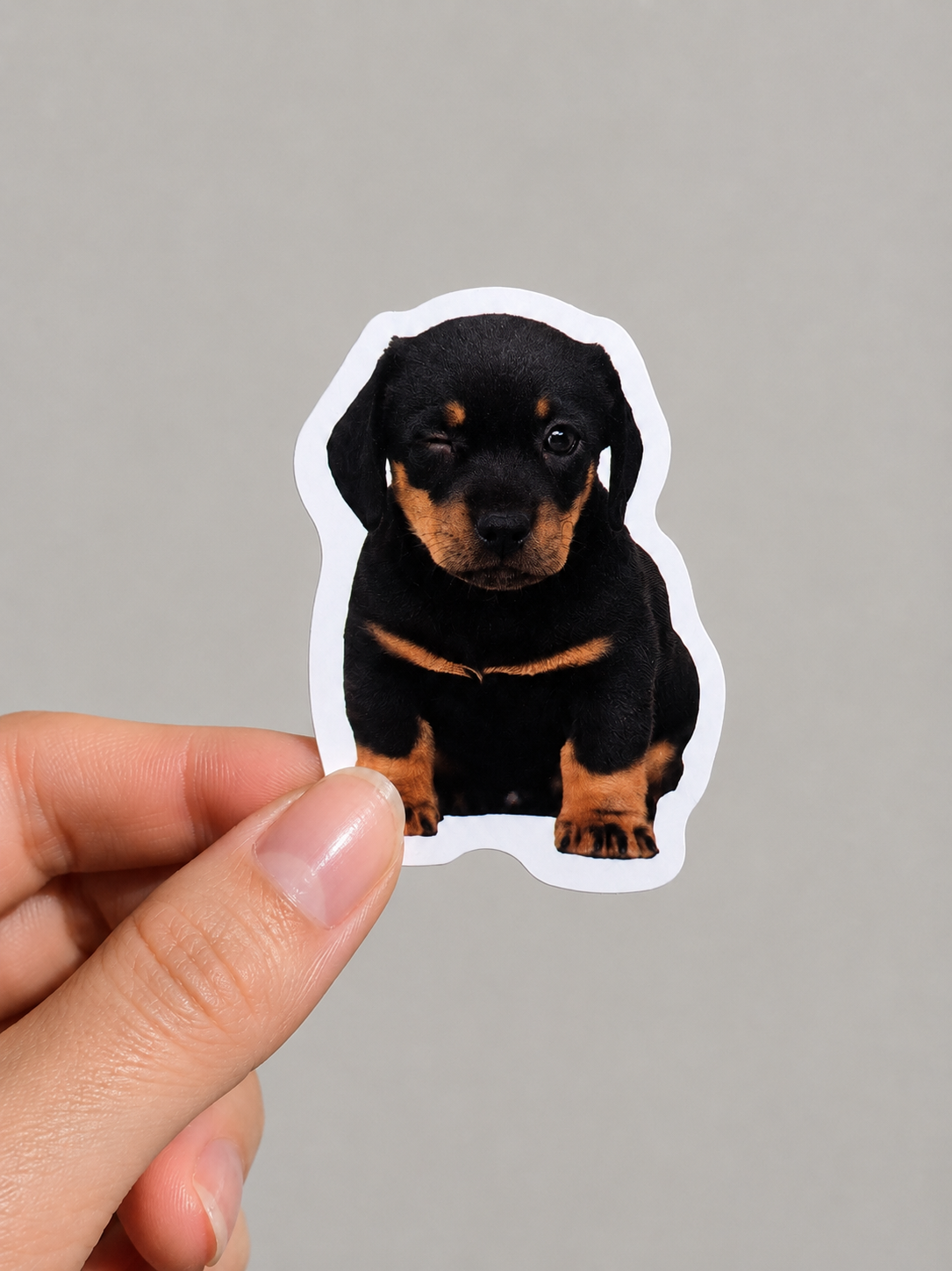 Funny Dog Stickers