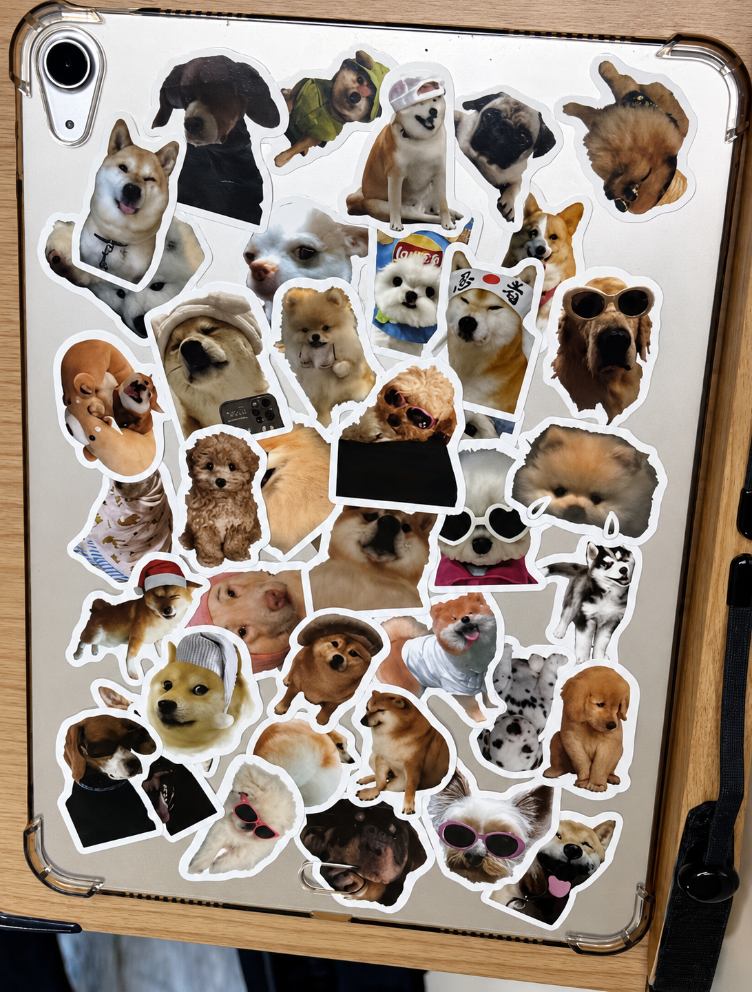 Funny Dog Stickers