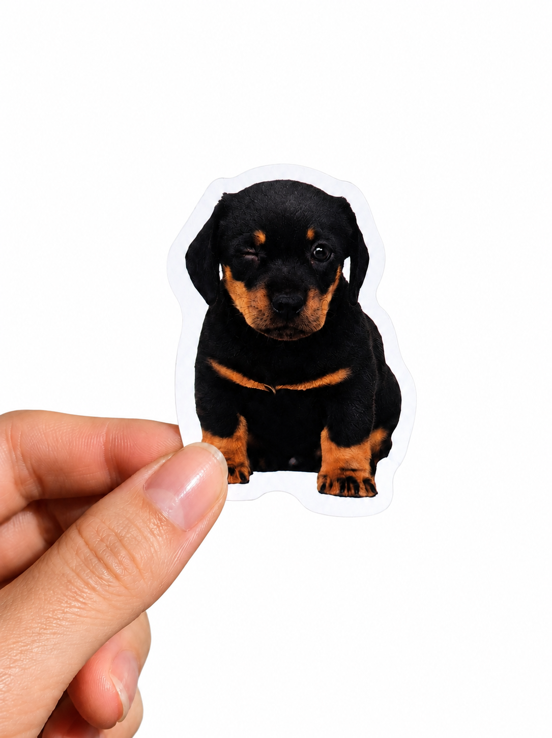 Funny Dog Stickers